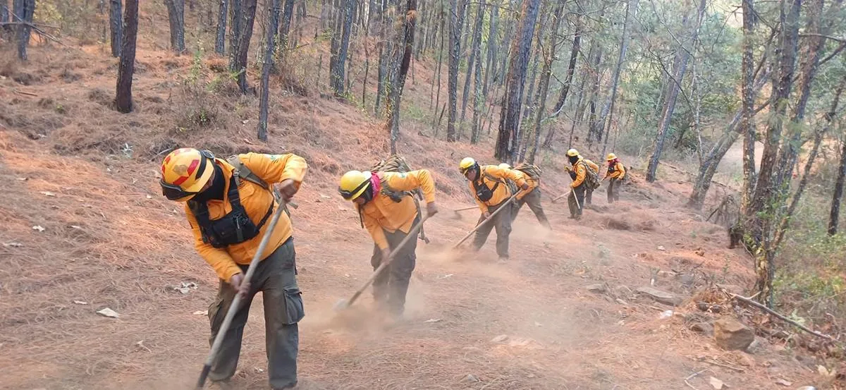 Controlado al 100 % incendio en Nuevo Urecho-2