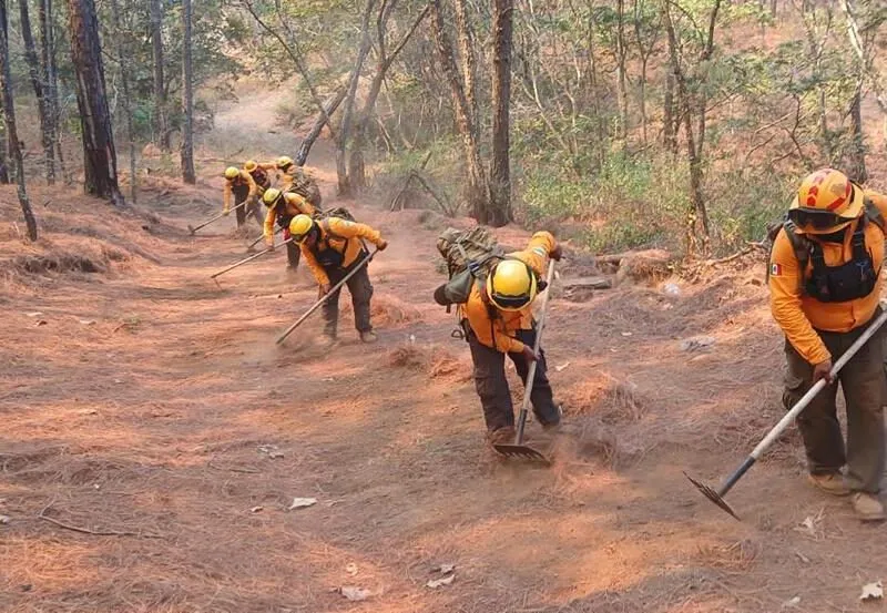 Controlado al 100 % incendio en Nuevo Urecho