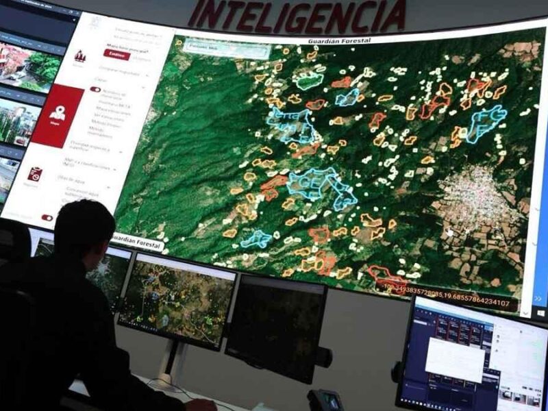 Destaca en la Semana del Clima de EU el éxito del Guardián Forestal en Michoacán