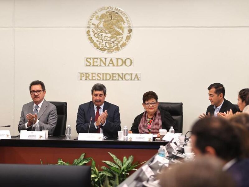 Ernestina Godoy en comparecencia en el Senado