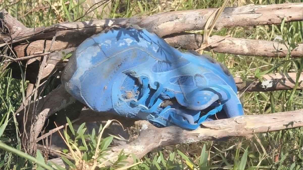 Hallan restos humanos y dos cuerpos en Jacona, Michoacán 1