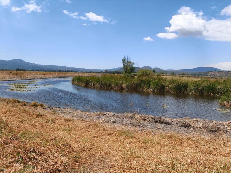 Hallazgo de tres nuevos manantiales consolidan rescate del lago de Pátzcuaro: Bedolla