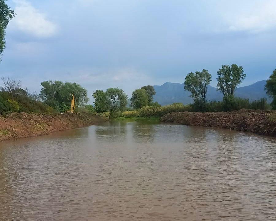 Hallazgo de tres nuevos manantiales consolidan rescate del lago de Pátzcuaro