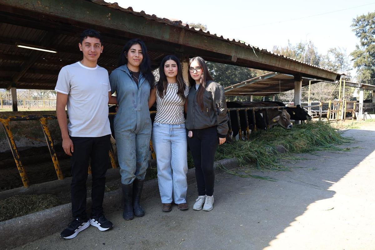 La licenciatura de Veterinaria de la UMSNH inicia proceso de reacreditación
