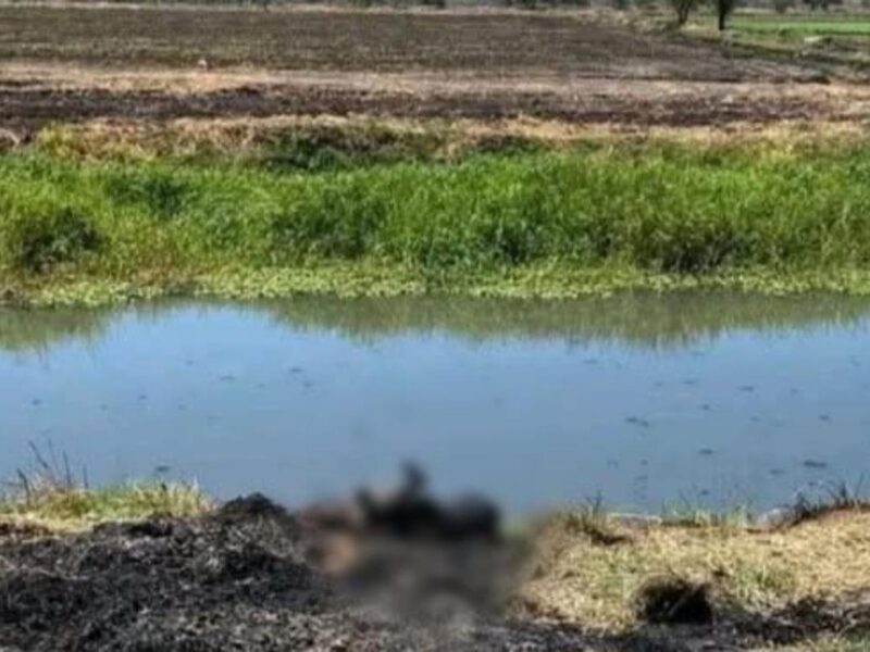 Localizan cadáver de una mujer en una brecha en Sahuayo, Michoacán