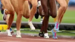 Atletas transgénero competirán según sexo biológico en Juegos Olímpicos de Los Ángeles 2028