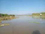 El lago de Pátzcuaro recobra vida; en 2026 se han descubierto 18 manantiales