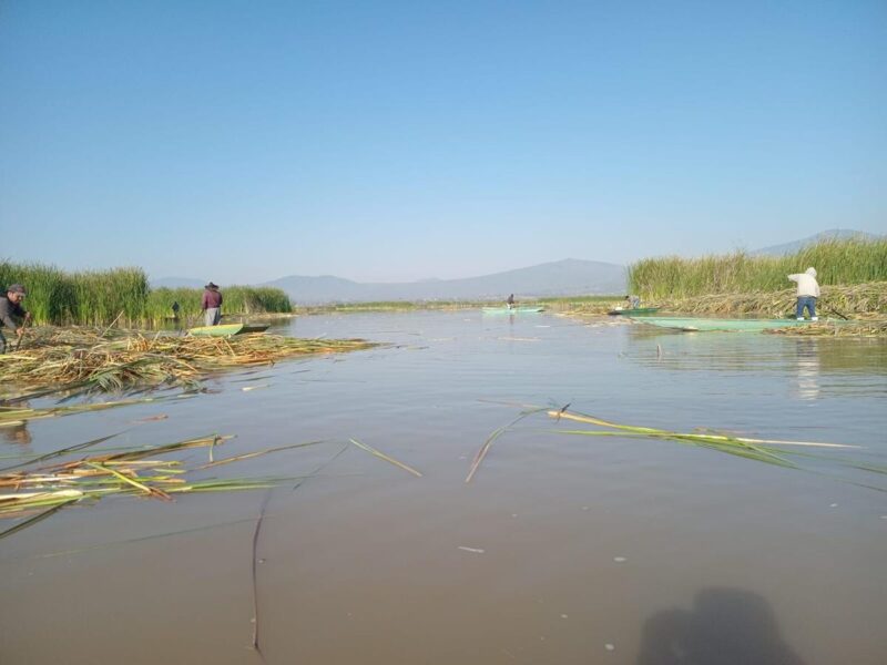 manantiales descubiertos lago de Pátzcuaro