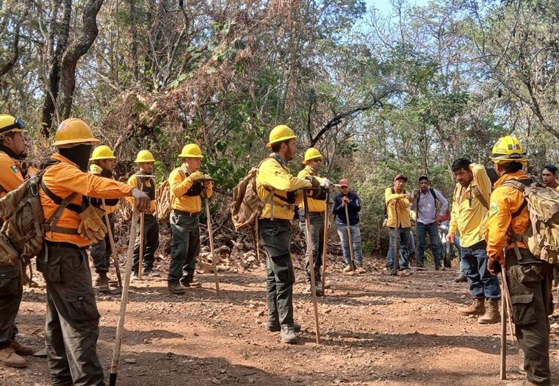 Michoacán logra reducir más del 44 % la superficie afectada por incendios forestales
