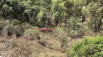 Se salvan de milagro: Vehículo con menores cae a barranco en Coeneo