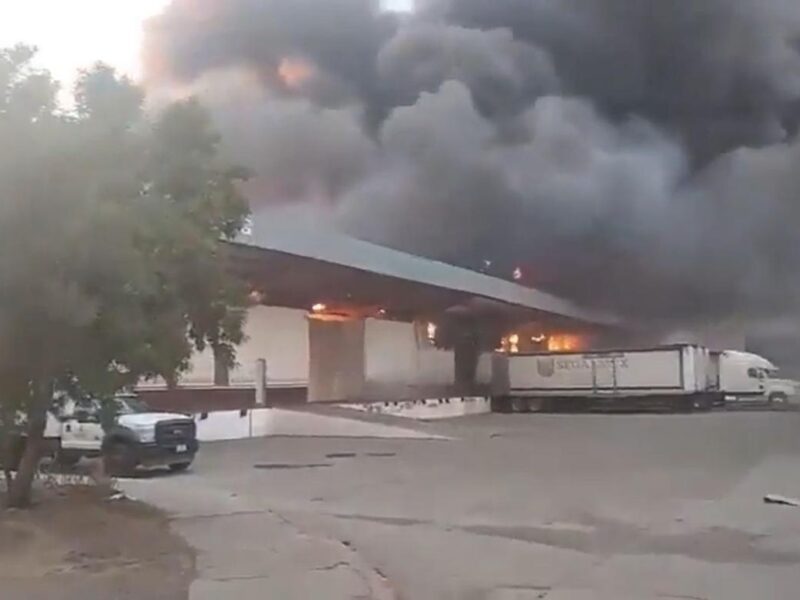 Sheinbaum confirma investigación por incendio en Zacatecas tras protesta de productores de frijol