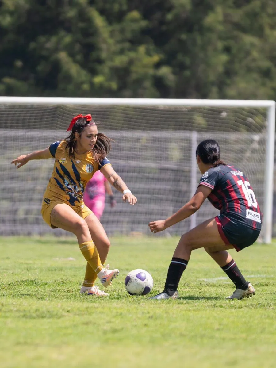 Tigres de Alica Cuartos de Final Atlético Morelia-UMSNH 2