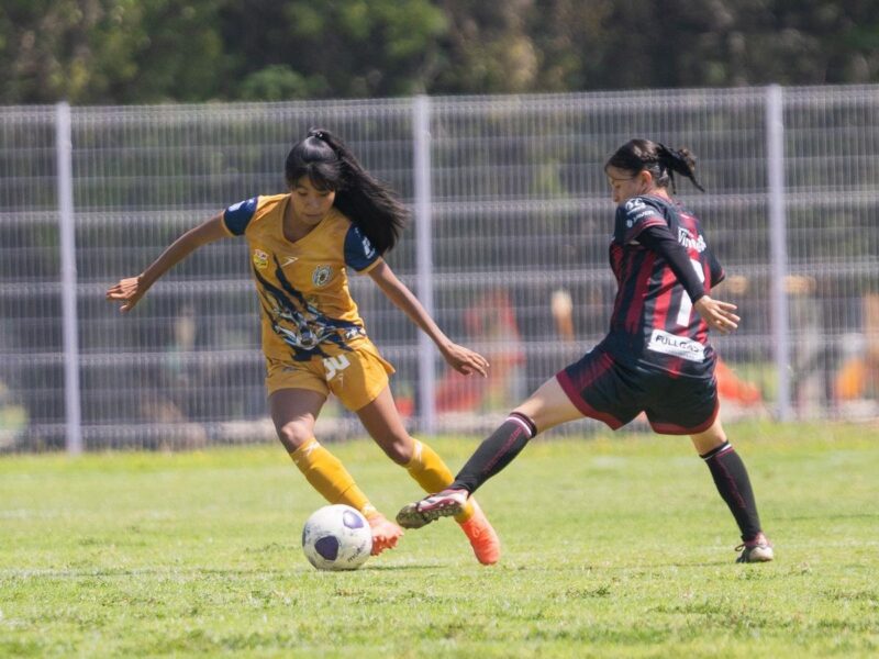 Tigres de Alica Cuartos de Final Atlético Morelia-UMSNH