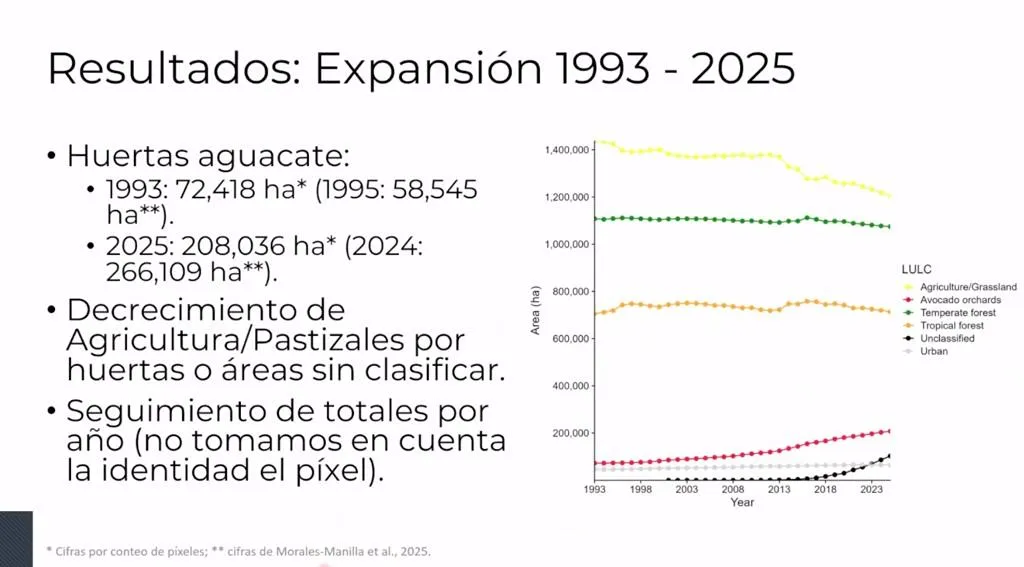 UNAM expone pérdida de bosques en Michoacán por cultivo de aguacate