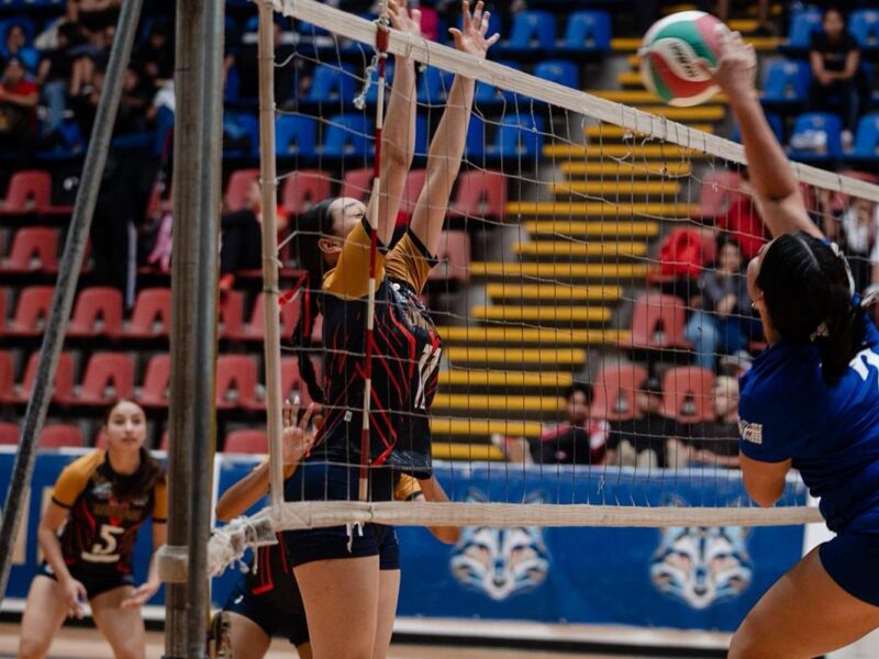 Voleibol femenil de sala UMSNH Universiada Nacional