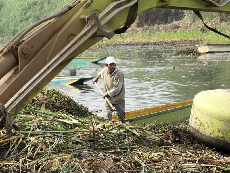 Avanza limpieza de canales en el lago de Pátzcuaro; empleos temporales devuelven su vida: Bedolla