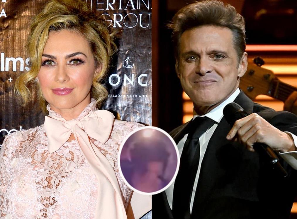 Captan al hijo de Luis Miguel y Aracely Arámbula en antro de Acapulco
