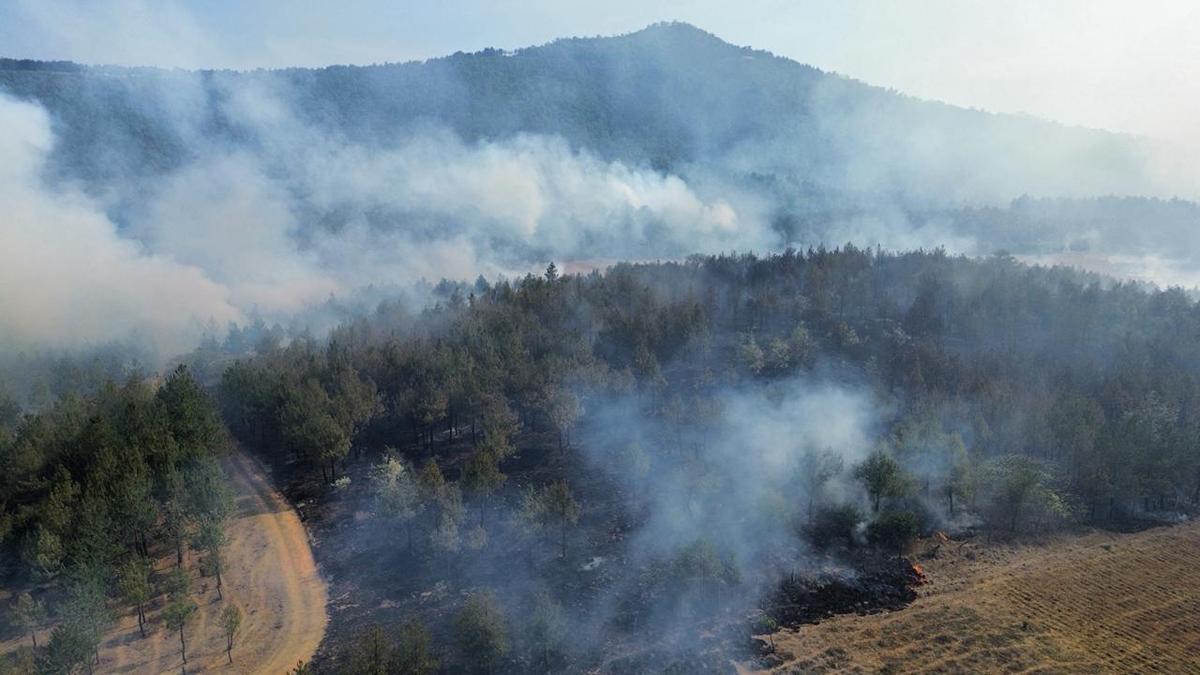Controlado en incendio en el cerro del Estribo, en Pátzcuaro