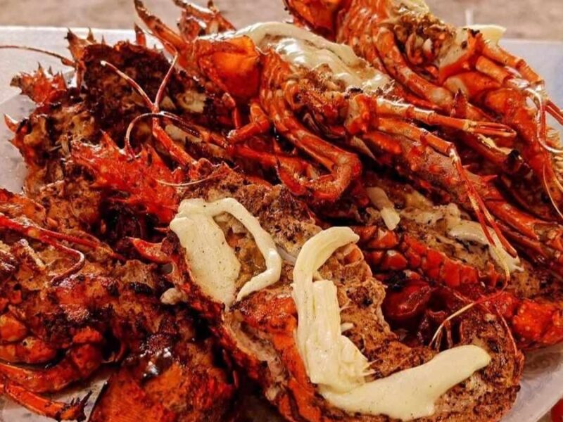 Festival de la Langosta y Cerveza Artesanal llega a Morelia