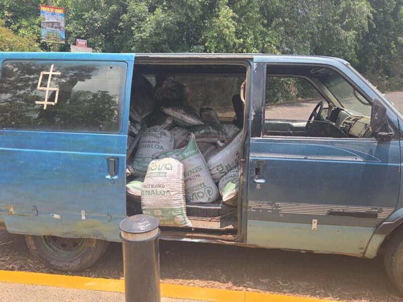 FGE detiene a persona presuntamente relacionada en delitos contra el ambiente, en Morelia