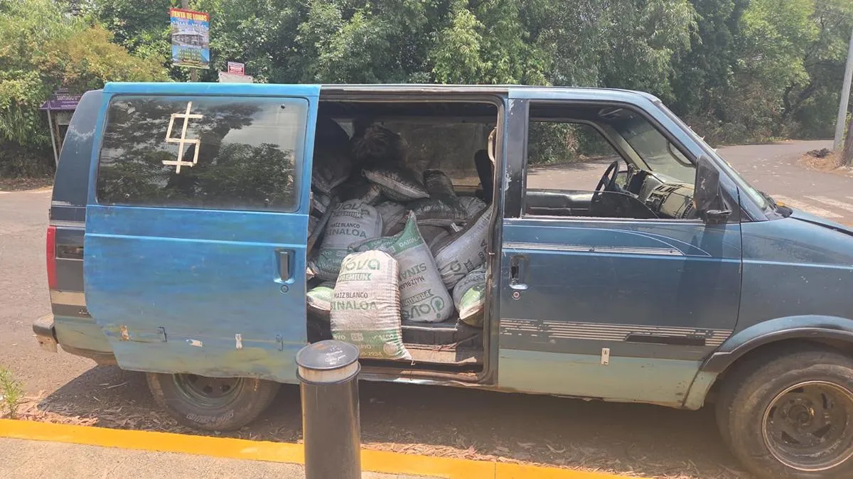 FGE detiene a persona presuntamente relacionada en delitos contra el ambiente, en Morelia