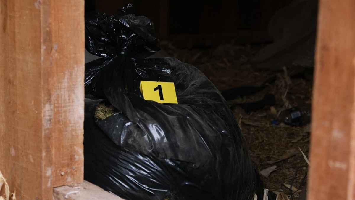 FGE ejecuta 2 cateos en San José de las Cidras; aseguran armas, droga y vehículos-3