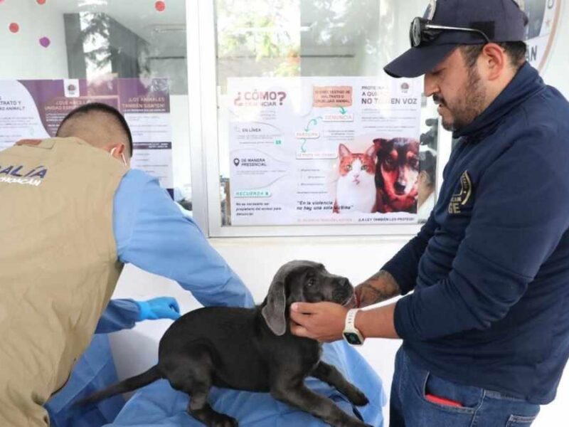 FGE Investigan venta ilegal de animales en Morelia 2