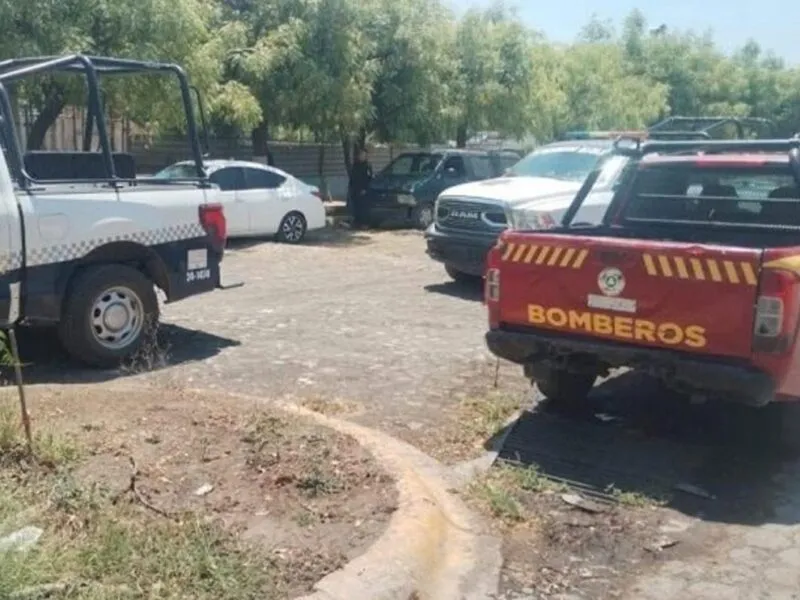 Hombre muere tras caer de un árbol en Múgica, Michoacán