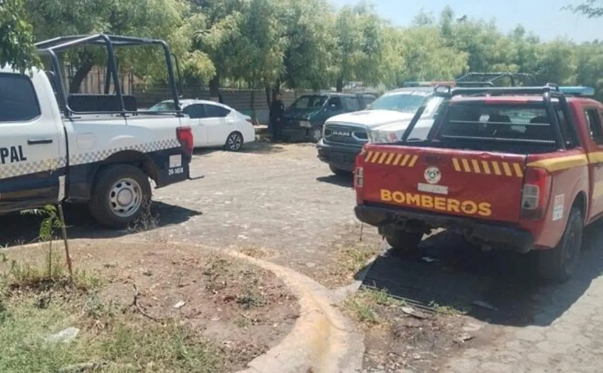 Hombre muere tras caer de un árbol en Múgica, Michoacán