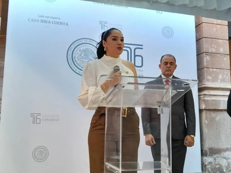 IEM criterios acciones afirmativas elecciones