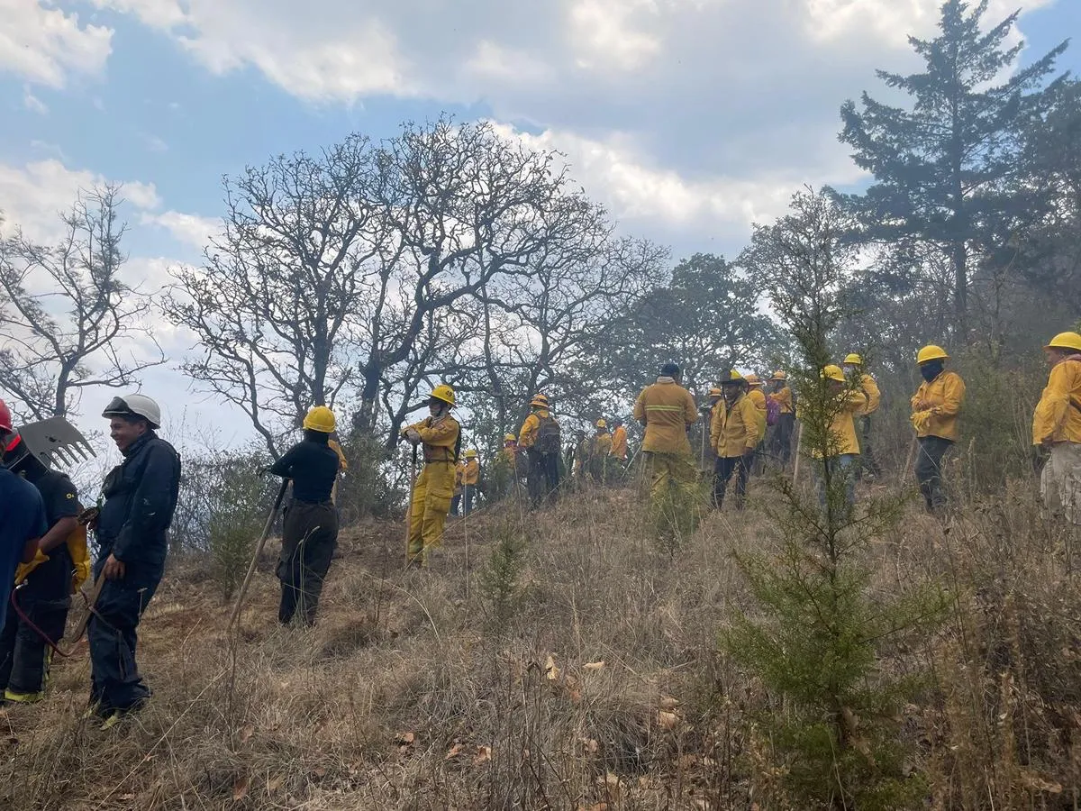 Incendio forestal en el Cerro del Estribo controlado en un 80 %