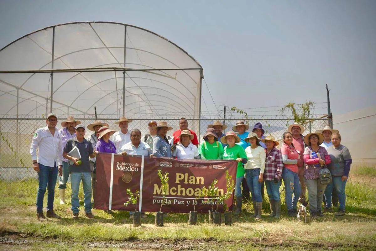 ¡Líder nacional! Michoacán supera el millón de toneladas de limón al año: Bedolla-1