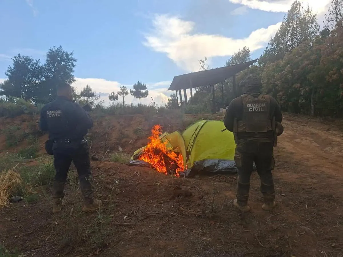 Localizan y destruyen campamento presuntamente utilizado por el CO en Nahuatzen