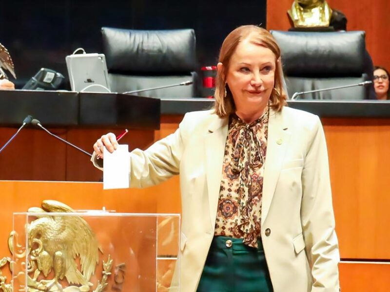 Morena debe postular perfiles intachables: Laura Itzel Castillo