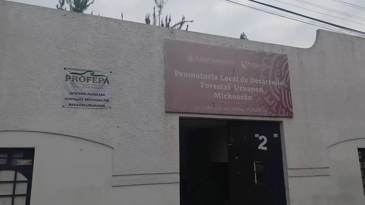 PC Ziracuaretiro rescata a un ave varada