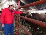 Pese a 3 casos, descarta Morelia brote de gusano barrenador