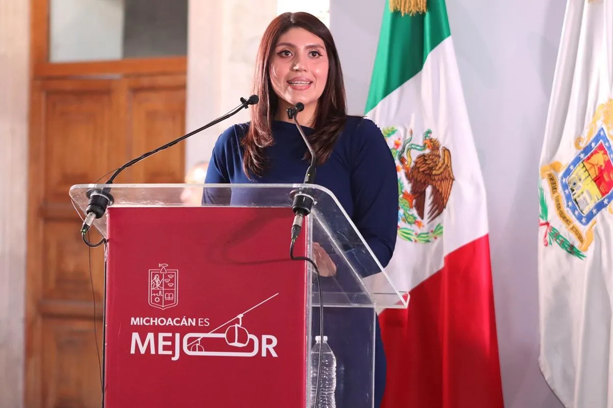 Seimujer reforma candidaturas deudores y agresores