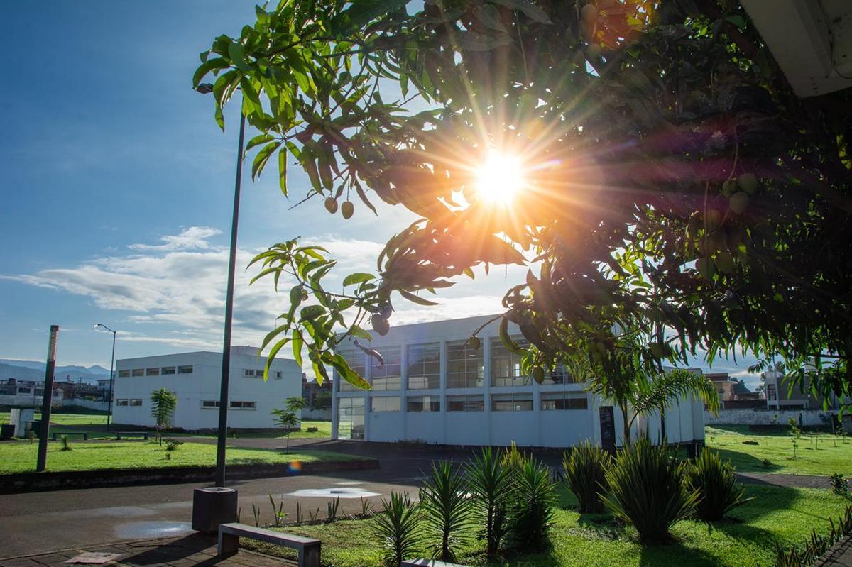 Unidades Profesionales de la UMSNH 2