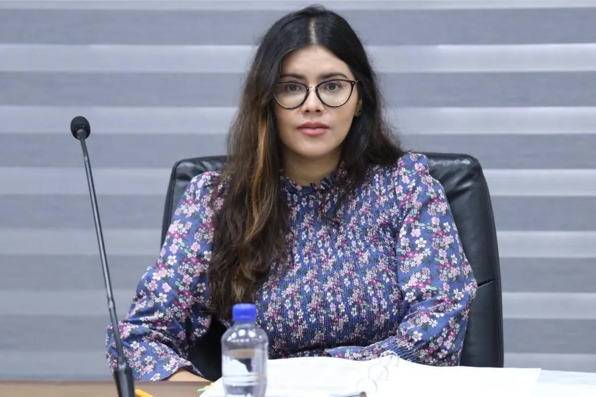 Acuerda INE que Selene González, sea la presidenta provisional del IEM