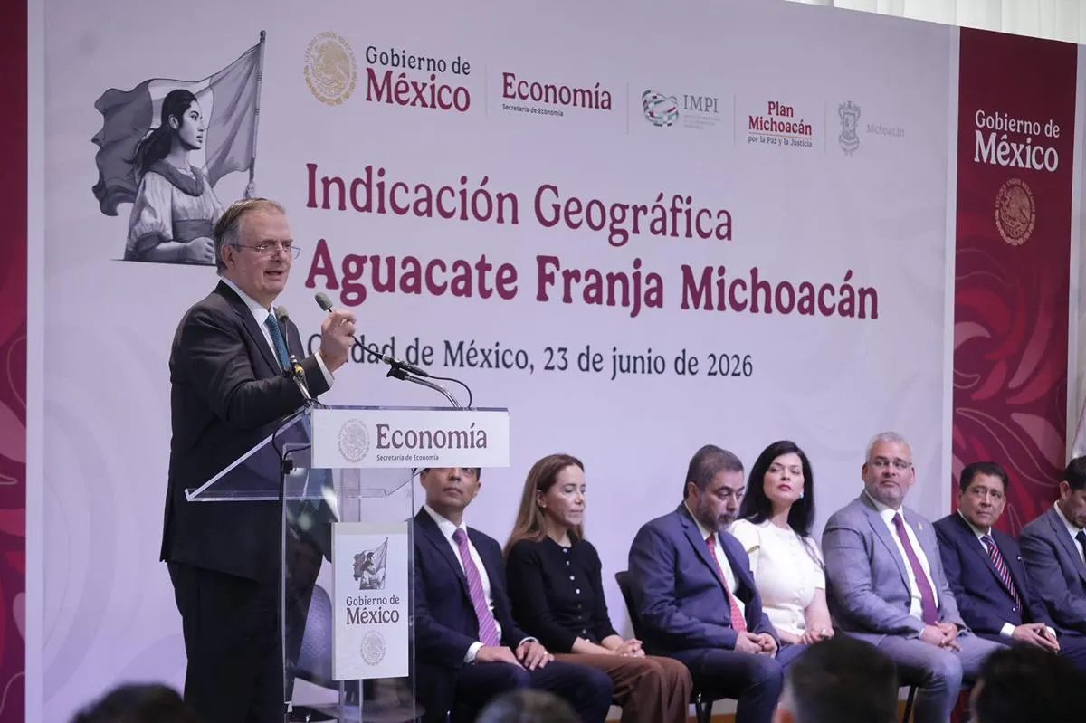Aguacate michoacano obtiene Indicación Geográfica por IMPI-1