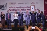 Aguacate michoacano obtiene Indicación Geográfica por el IMPI
