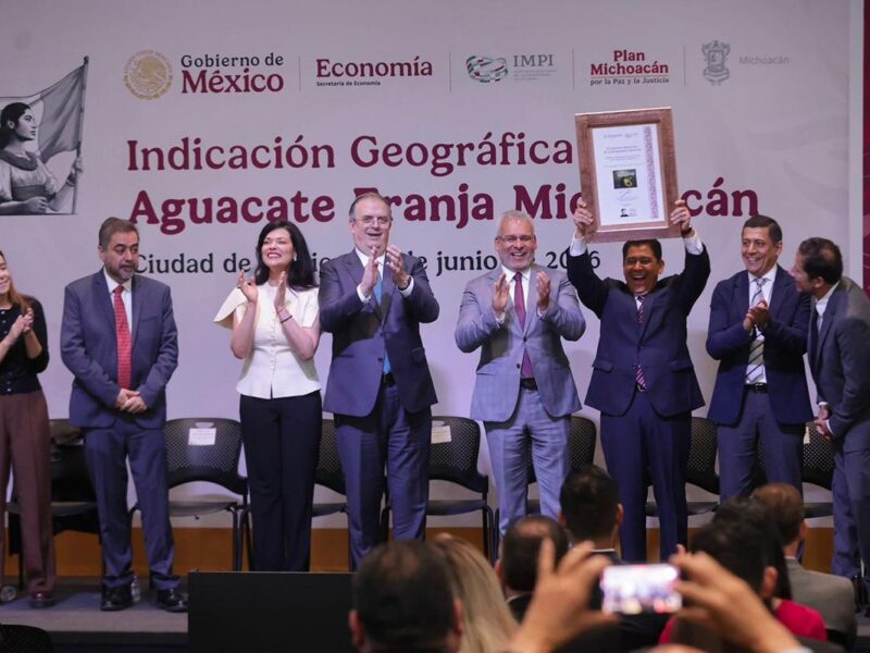Aguacate michoacano obtiene Indicación Geográfica por el IMPI