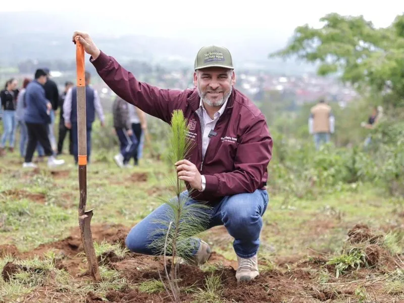 Anuncia Bedolla reforestación de 17 mil hectáreas con 10.5 millones de árboles