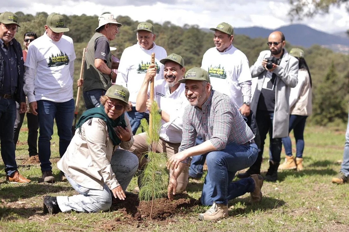 Anuncia Michoacán reforestación de 17 mil hectáreas con 10.5 millones de árboles