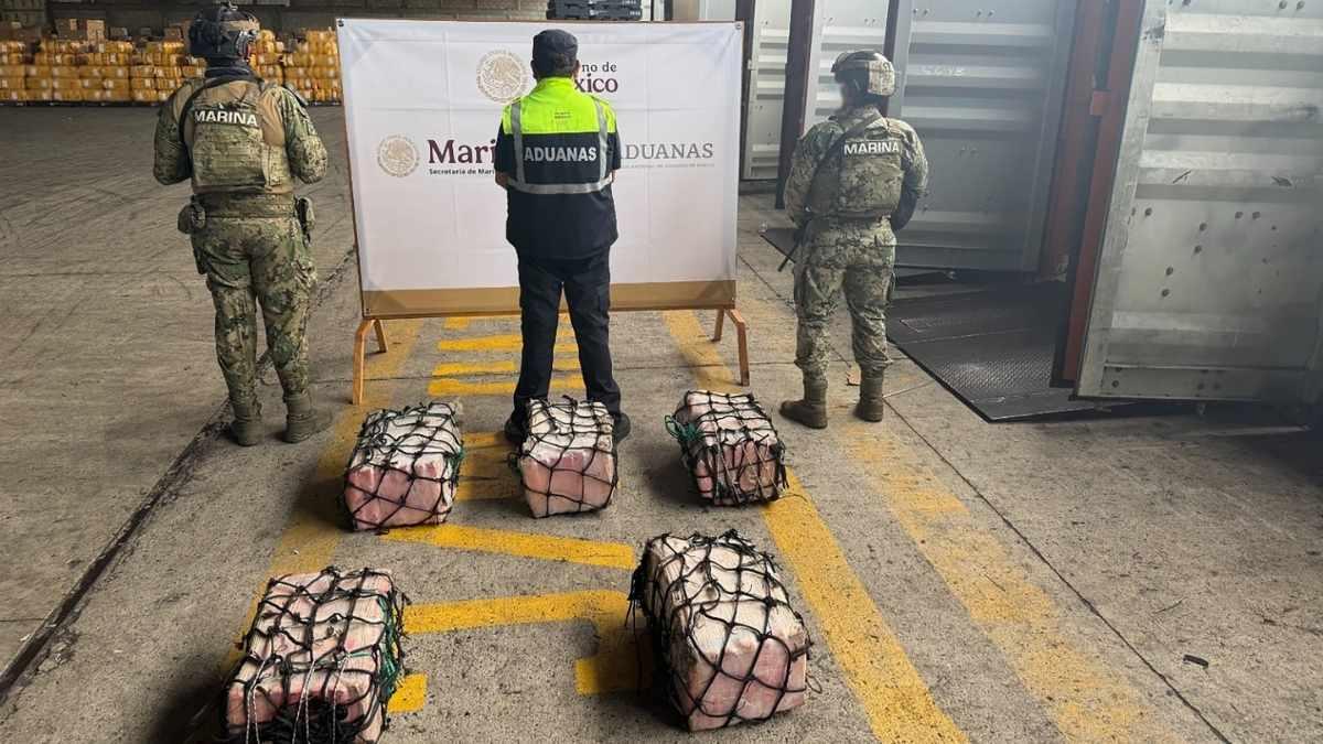 Aseguran más de 130 kilos de cocaína en puerto de Lázaro Cárdenas