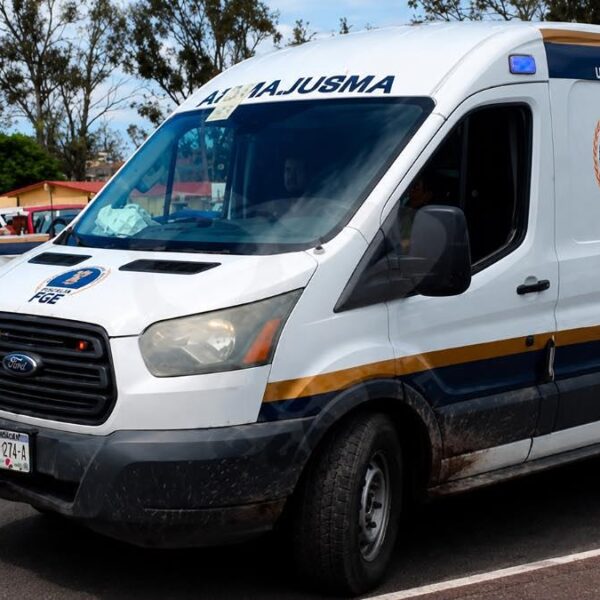 Asesinan a mujer y a sus dos hijos en Tocumbo; investigan a expareja