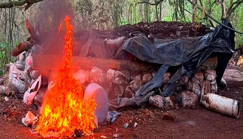 campamentos Crimen Organizado Aquila Ejército 2
