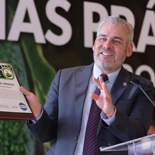 Certificación “ProForest Avocado”: El sello satelital que exigen 50 organizaciones en EUA