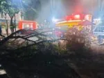 Deja tormenta en Morelia 6 árboles caídos, 2 rescates y apagones en 5 colonias