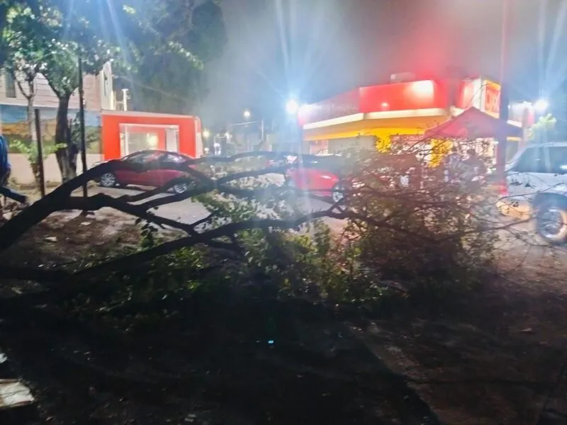 Deja tormenta en Morelia 6 árboles caídos, 2 rescates y apagones en 5 colonias